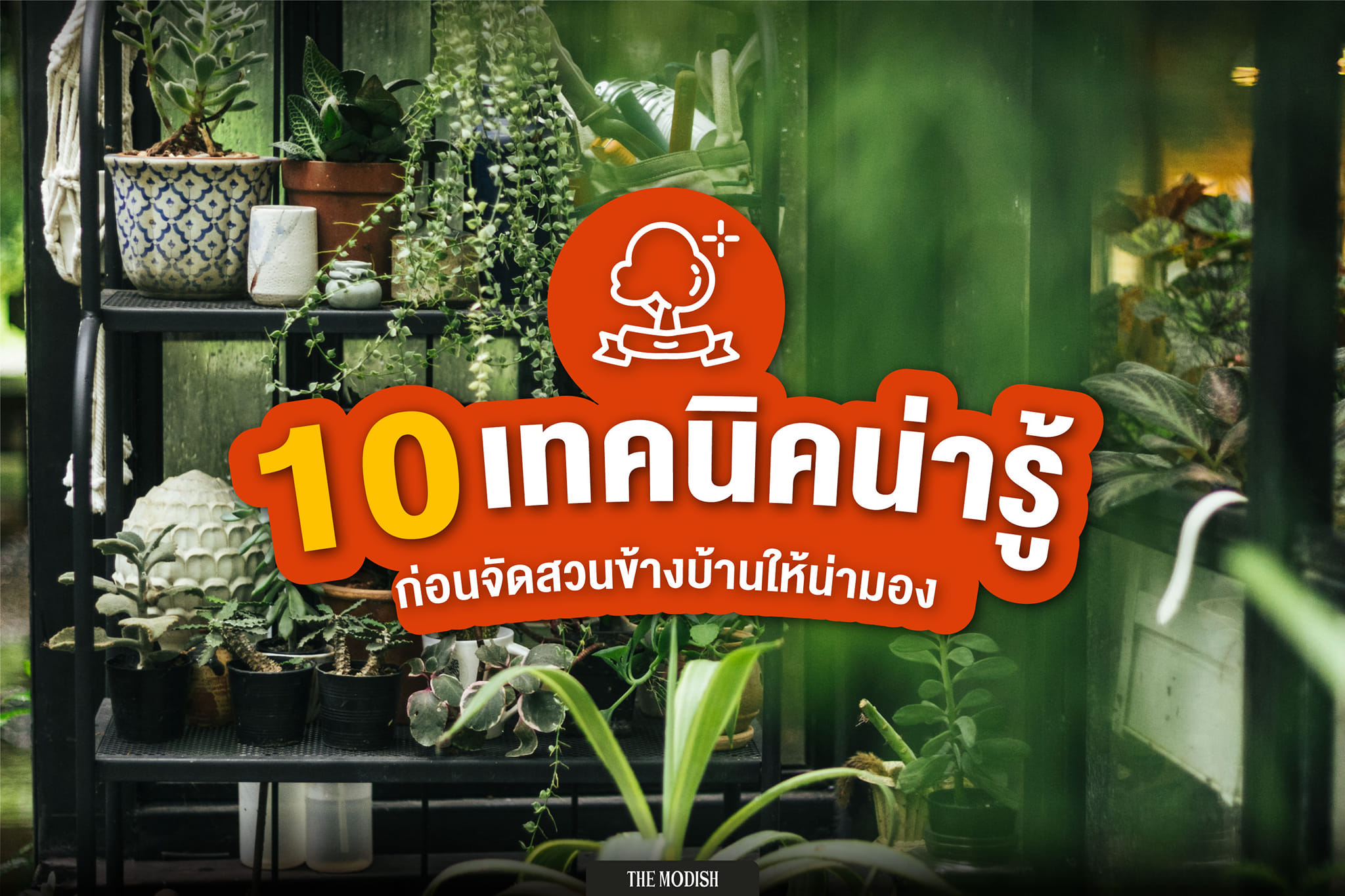 10 เทคนิคน่ารู้ ก่อนจัดสวนหน้าบ้านให้น่ามอง การเพิ่มพื้นที่สีเขียวให้บ้านถือเป็นการสร้างบรรยากาศที่ดีให้สมาชิกทุกคนในครอบครัว 